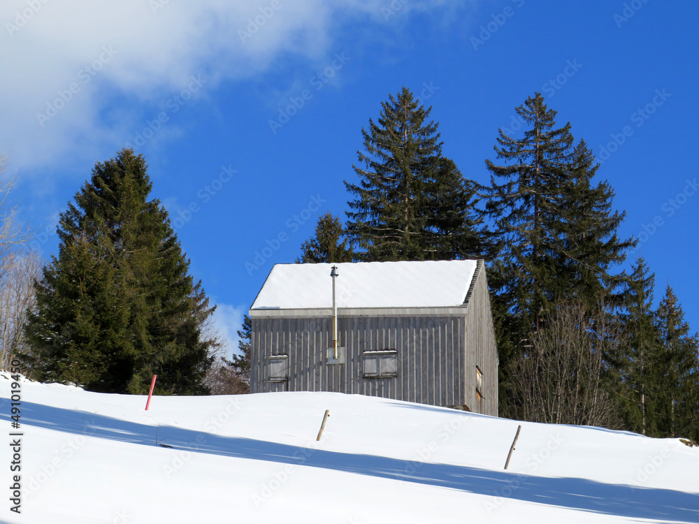 瑞士牧场上覆盖着新鲜白雪cov的土著高山小屋和木制牛棚