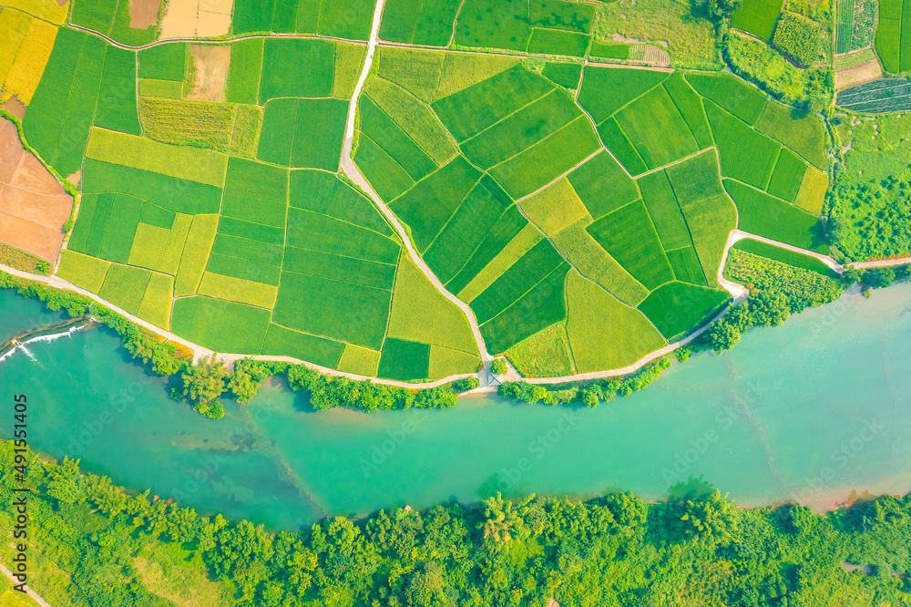 乡村绿色稻田和河流自然风光鸟瞰图。高角度视角。