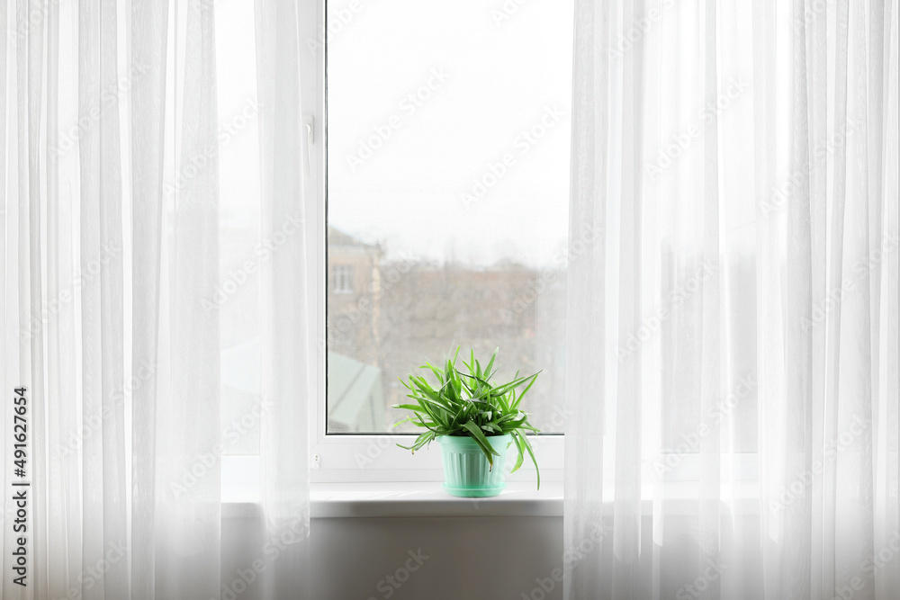窗台上的绿色芦荟盆栽