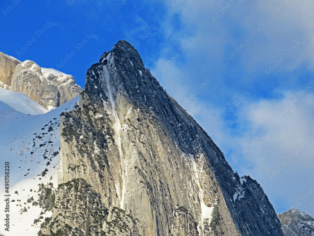 阿尔卑斯山脉和阿彭策尔阿尔卑斯的雪峰泽赫斯皮茨（1958米）