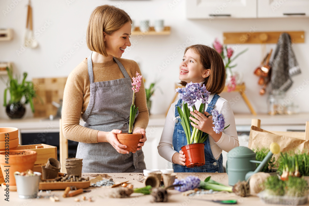 乐观的母亲和女儿在厨房里养花