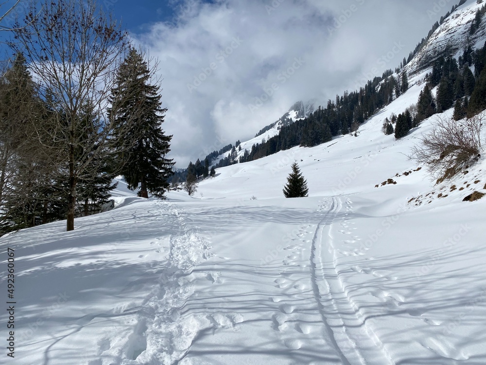 阿尔斯坦山脉山坡上和森林里美妙的冬季徒步小径和痕迹