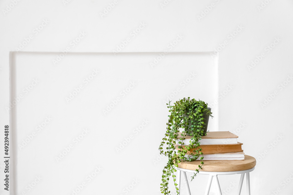 Modern table with houseplant and books in interior of light room