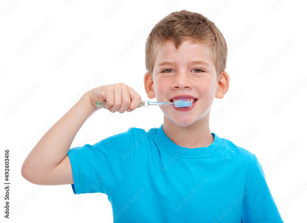 早期学习卫生。一个小男孩在白色背景下刷牙的肖像。