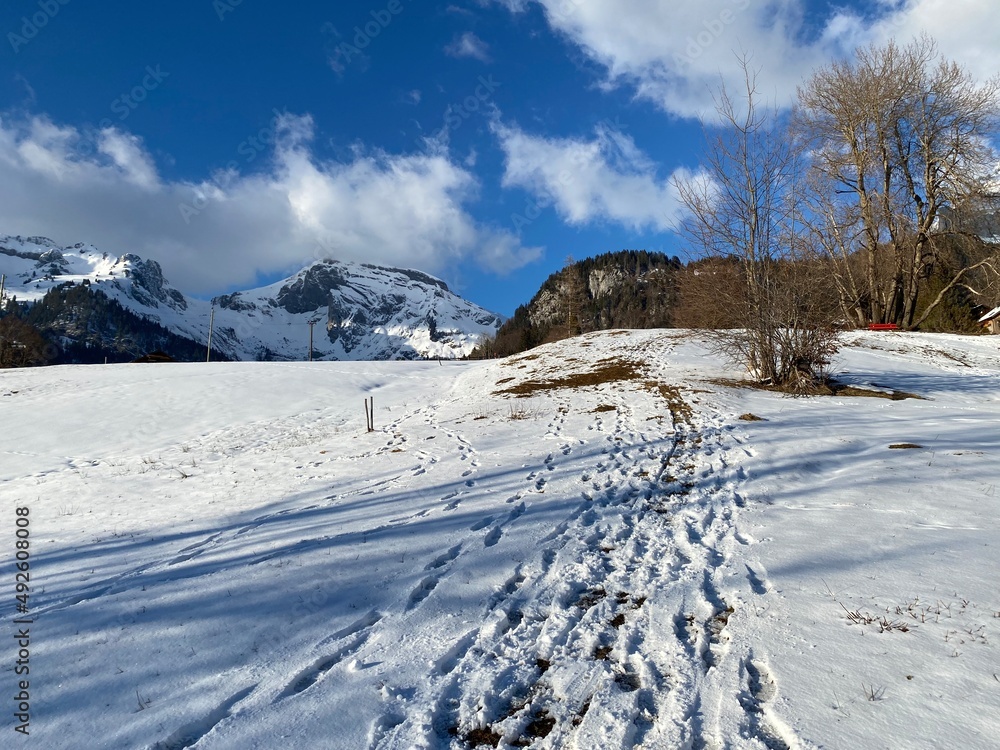 阿尔斯坦山脉山坡上和森林里美妙的冬季徒步小径和痕迹