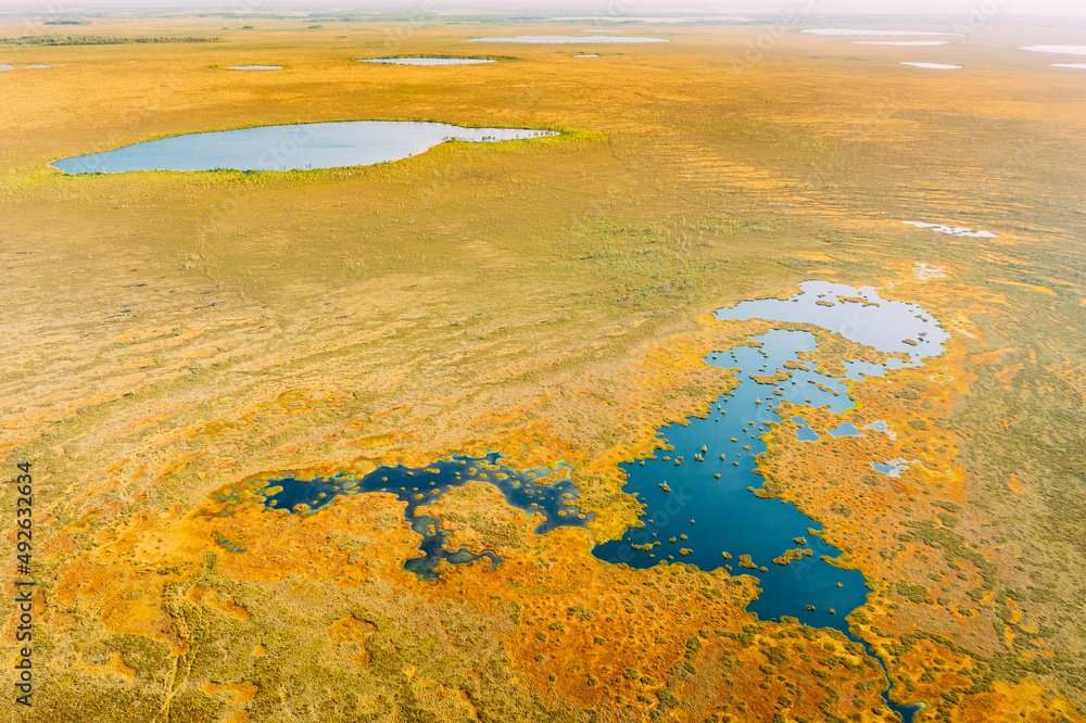 白俄罗斯维捷布斯克地区米奥里区。Yelnya沼泽。带Numerou的高地和过渡沼泽