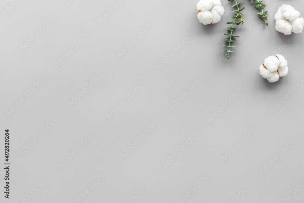 花朵和树叶布局。灰色背景下桉树树枝附近的棉花俯视图，平躺警察