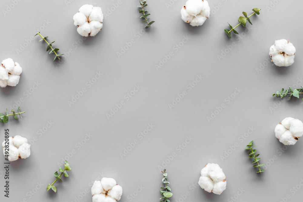灰色桌子上的花框，桉树树枝和棉花。平躺，俯视图，复制空间-blo