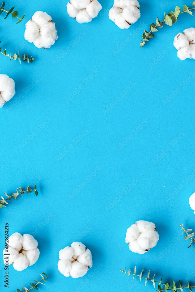 蓝色桌子上的花框，桉树树枝和棉花。平躺，俯视图，复制空间-blo