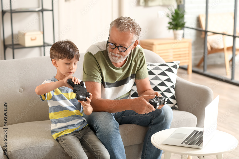 小男孩和爷爷在家玩电子游戏