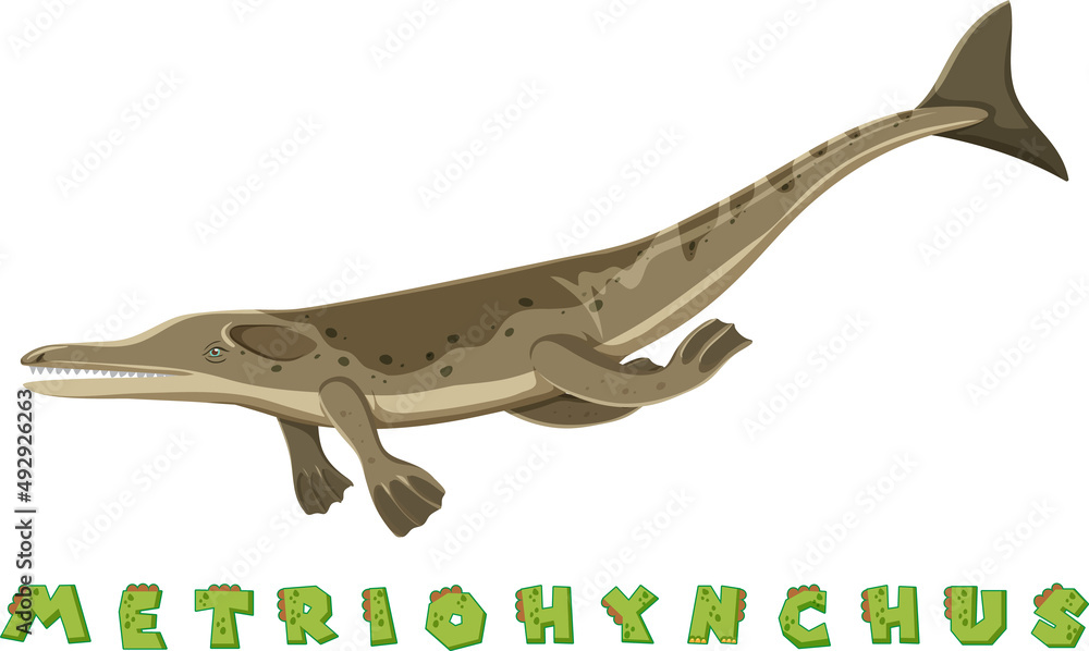 Meteohynchus的恐龙单词卡