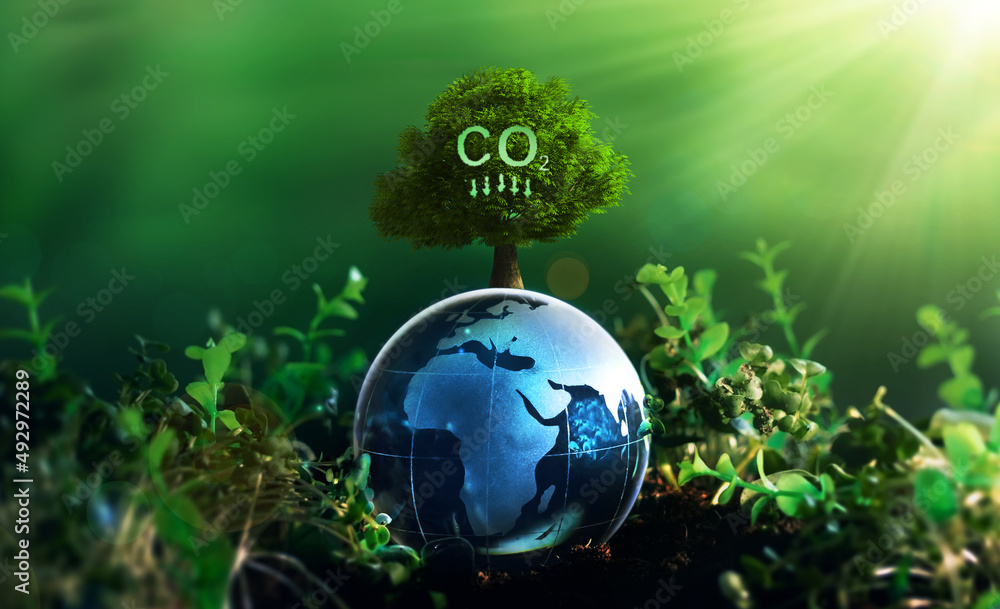 Reduce CO2 emission concept.
Renewable energy-based green businesses can limit climate change and gl