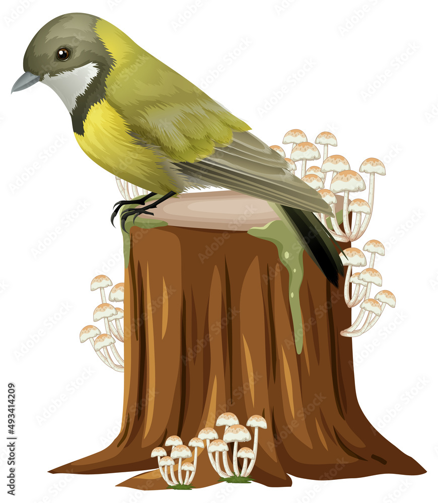 可爱的小鸟站在木头上
