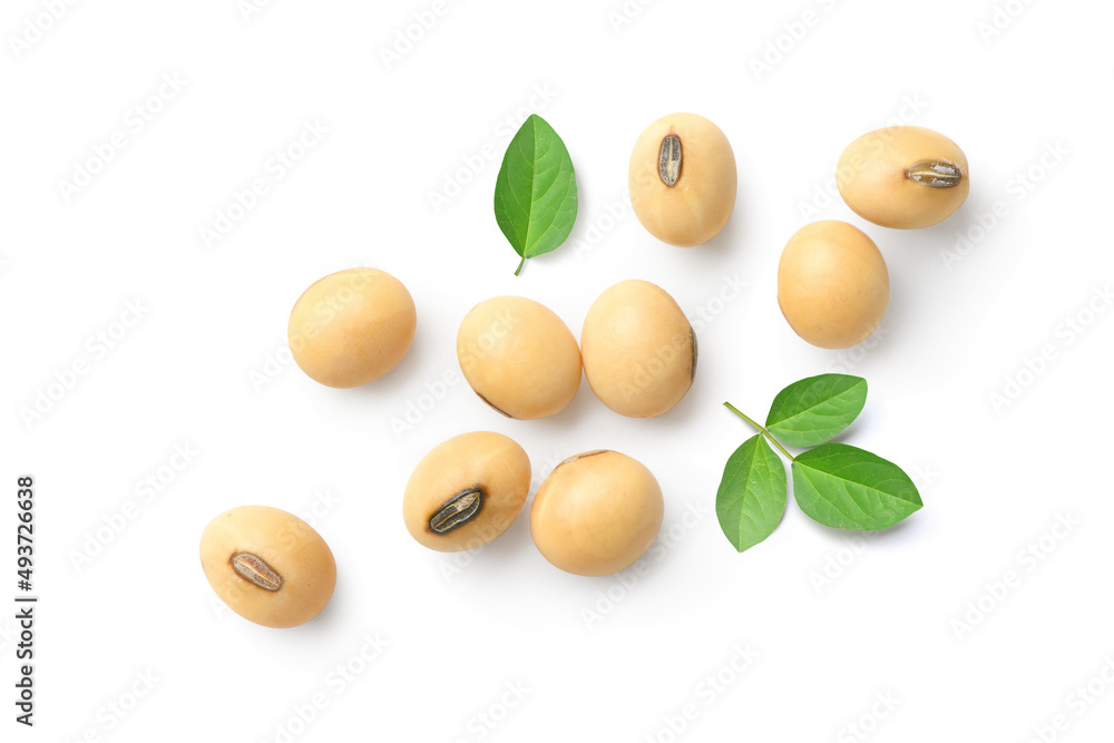 白色背景下分离的扁平大豆。