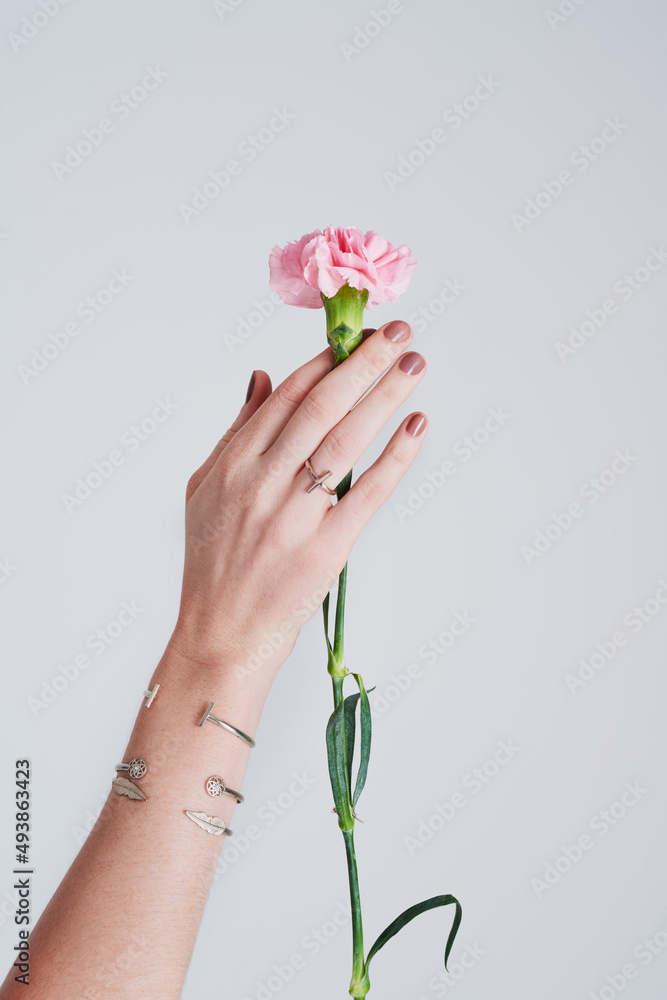 生命是一朵花，在你手中如此珍贵。一个面目全非的女人拿着一朵花的工作室镜头
