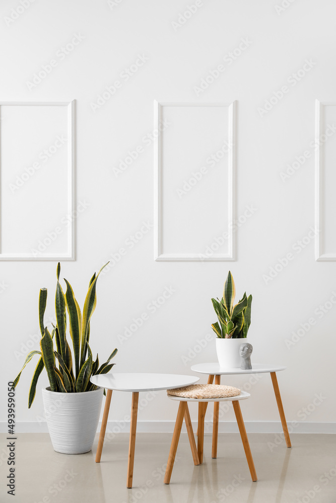 Modern tables and houseplants in interior of light room