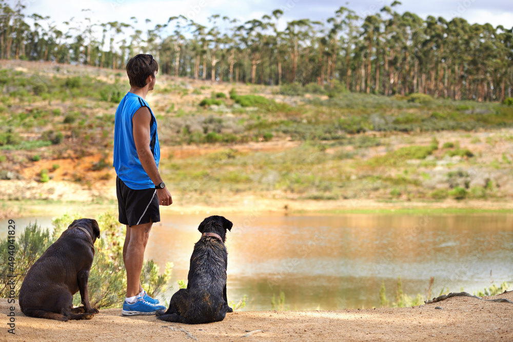 带着狗去风景区散步。一个年轻人带着他的两只狗站在池塘边眺望。