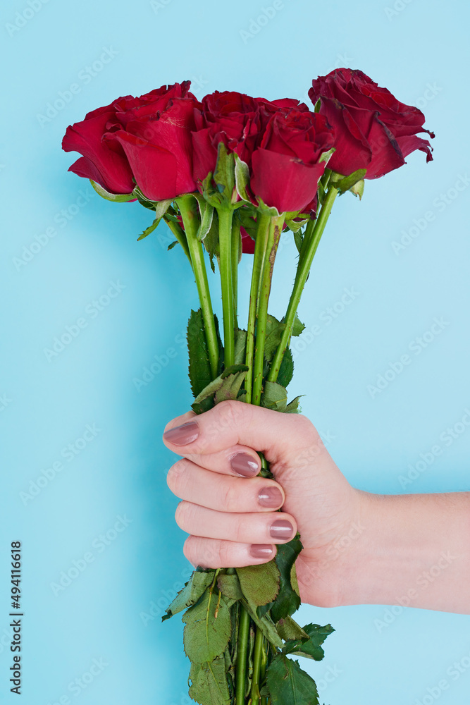 保持简单但美丽。一个面目全非的女人拿着玫瑰对着蓝色b的裁剪镜头