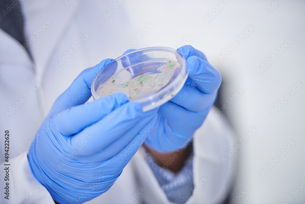 找到治愈方法。一张科学家戴着手套拿着培养皿的短镜头。
