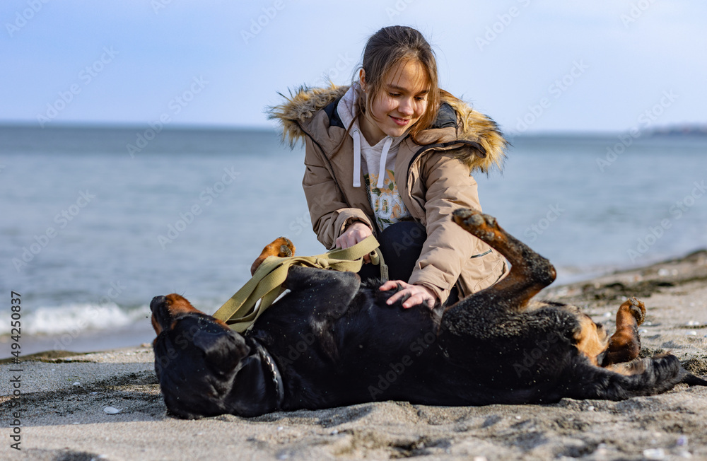 一个穿着夹克的女孩坐在罗威纳犬品种的狗旁边，在海边的海滩上闻到它的气味