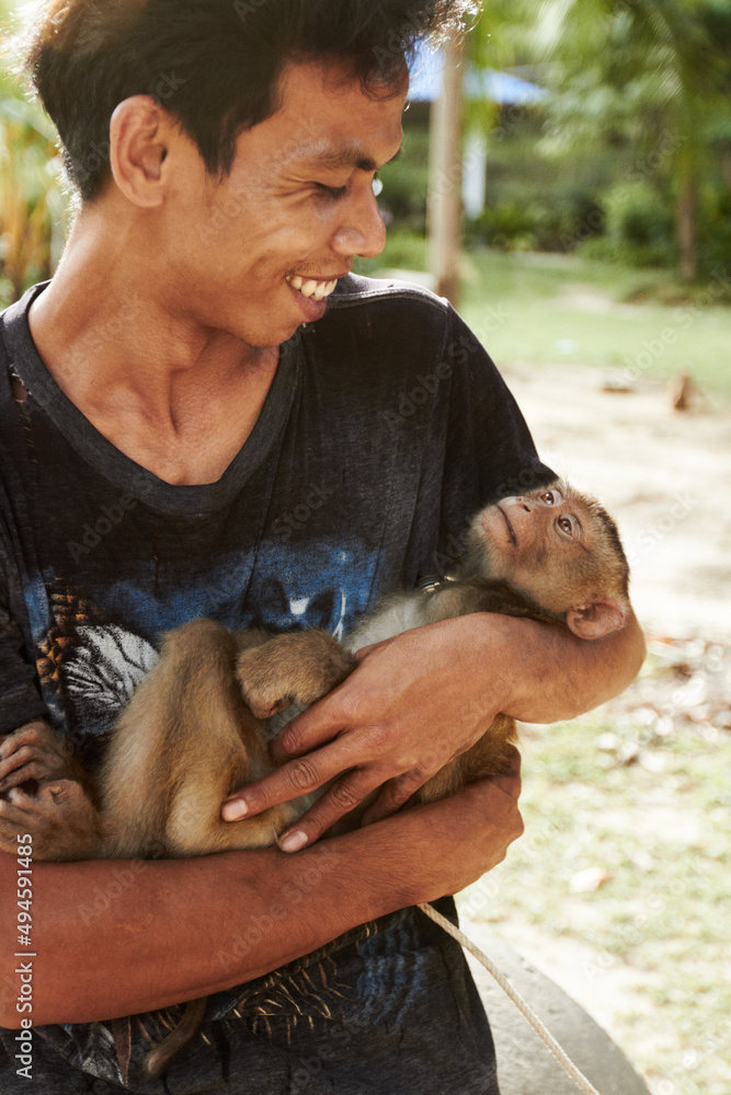 猴子饲养员-泰国。一只泰国猕猴被饲养员抱着。