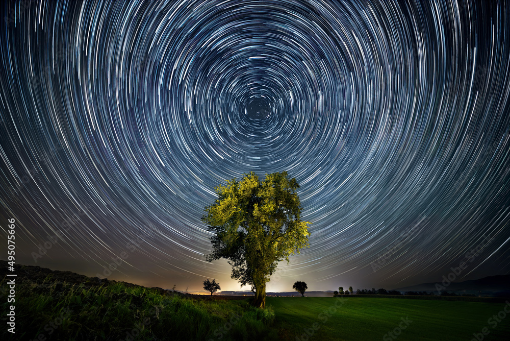 一棵孤独的树上的夜空，有圆形的星迹，居中对称的构图