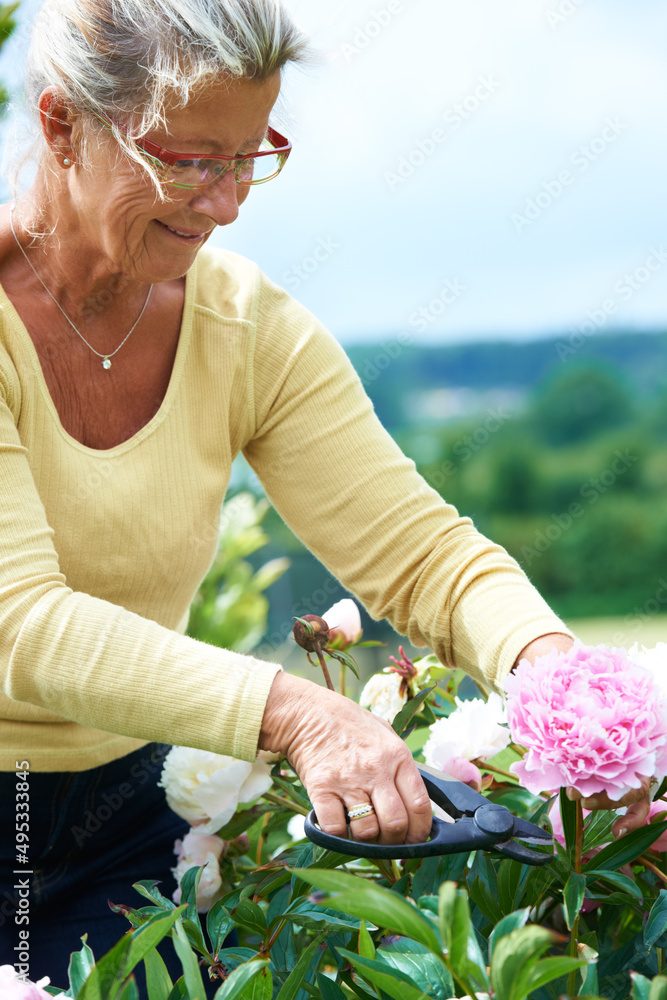 A great way to relax. A smiling senior woman pruning flowers outdoors in the garden.