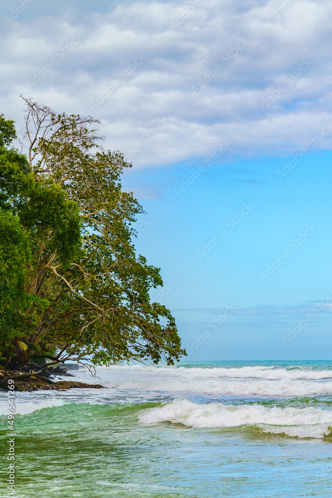 国家卡胡塔公园，美丽的热带加勒比海海滩，卡胡塔，哥斯达黎加东海岸