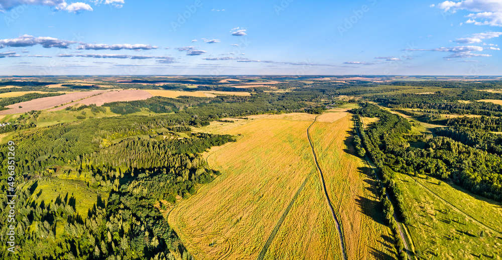 俄罗斯中部高地的空中景观。库尔斯克地区Ozerovka村。