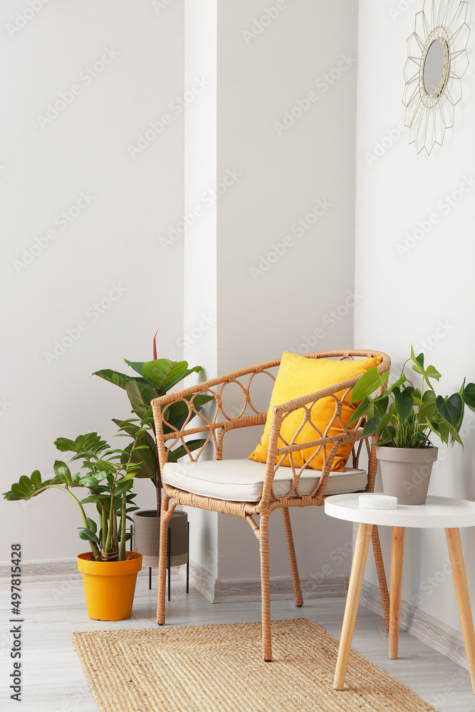 靠近白墙的舒适扶手椅、室内植物和桌子