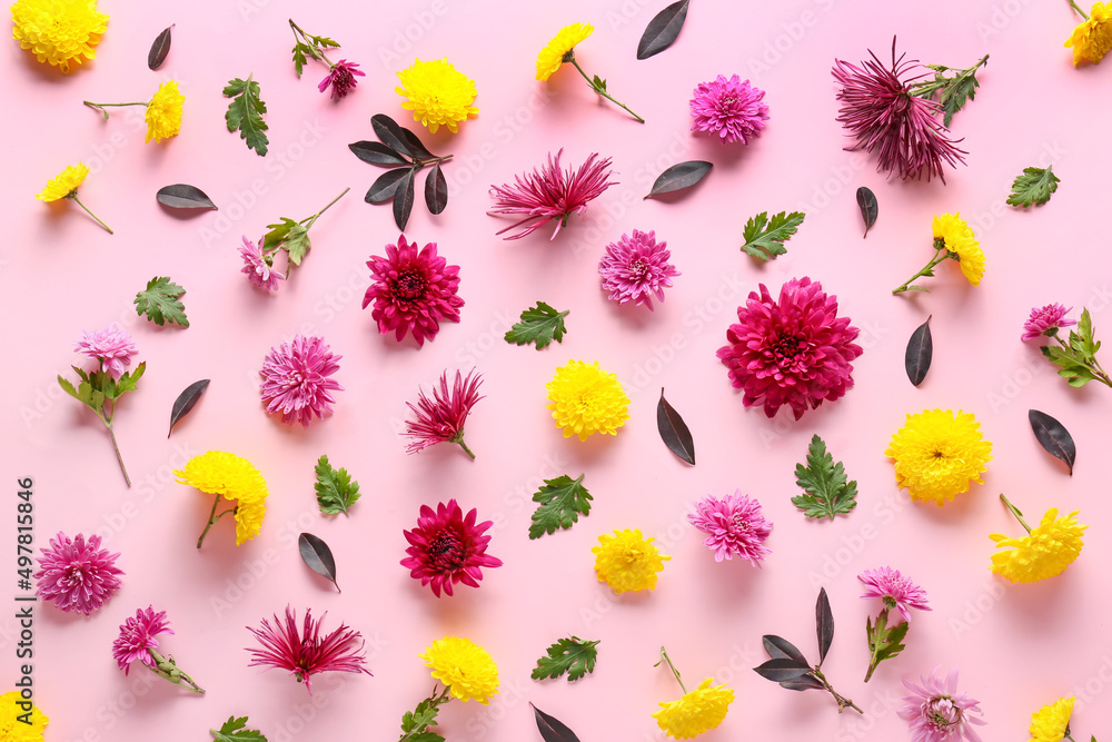粉色背景上的不同菊花和树叶