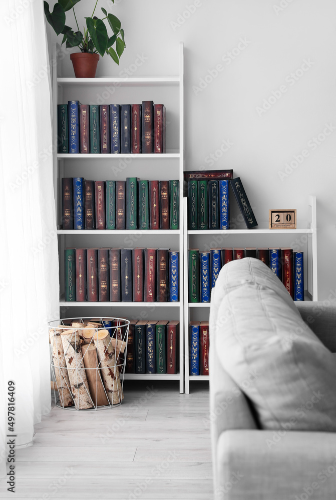现代室内沙发书柜