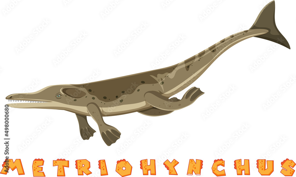 Metioynchus的恐龙单词卡