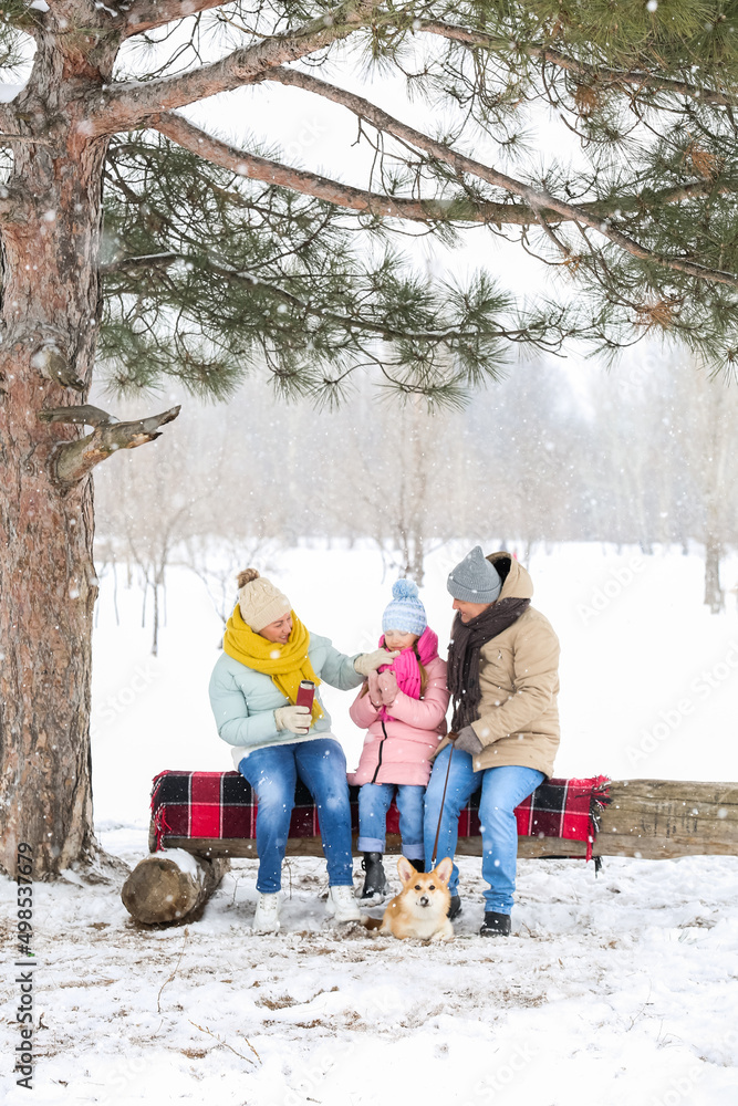 下雪的冬日，小女孩和她的祖父母带着保温瓶和柯基犬在公园里