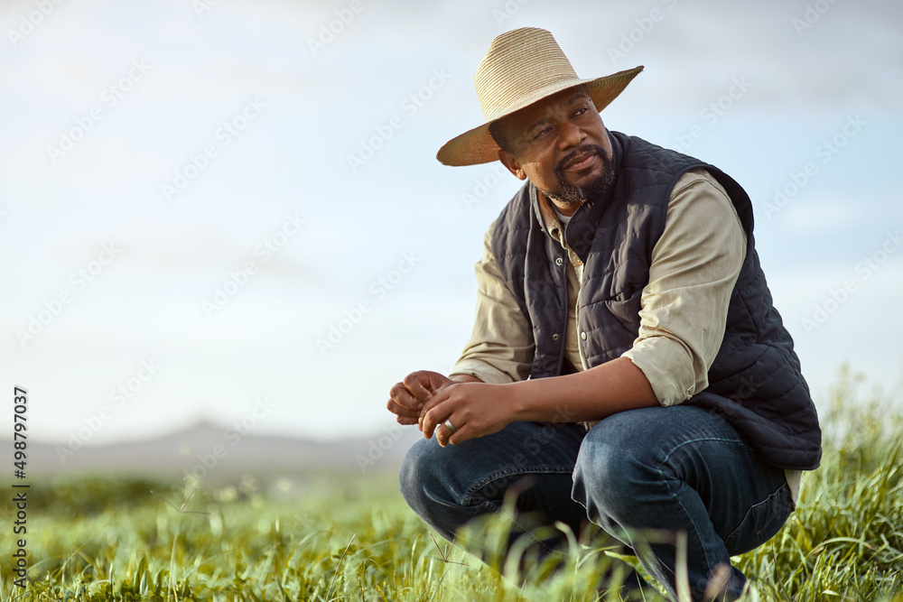 先有耐心，然后是农民的耐心。一个成熟男人在农场工作的镜头。