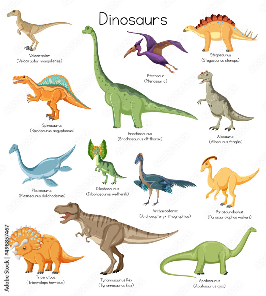 不同类型的恐龙有名字