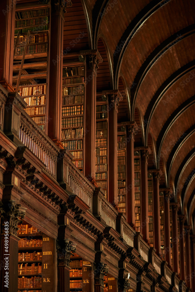 一排排的书。一个装满书的大型老式图书馆的裁剪镜头。