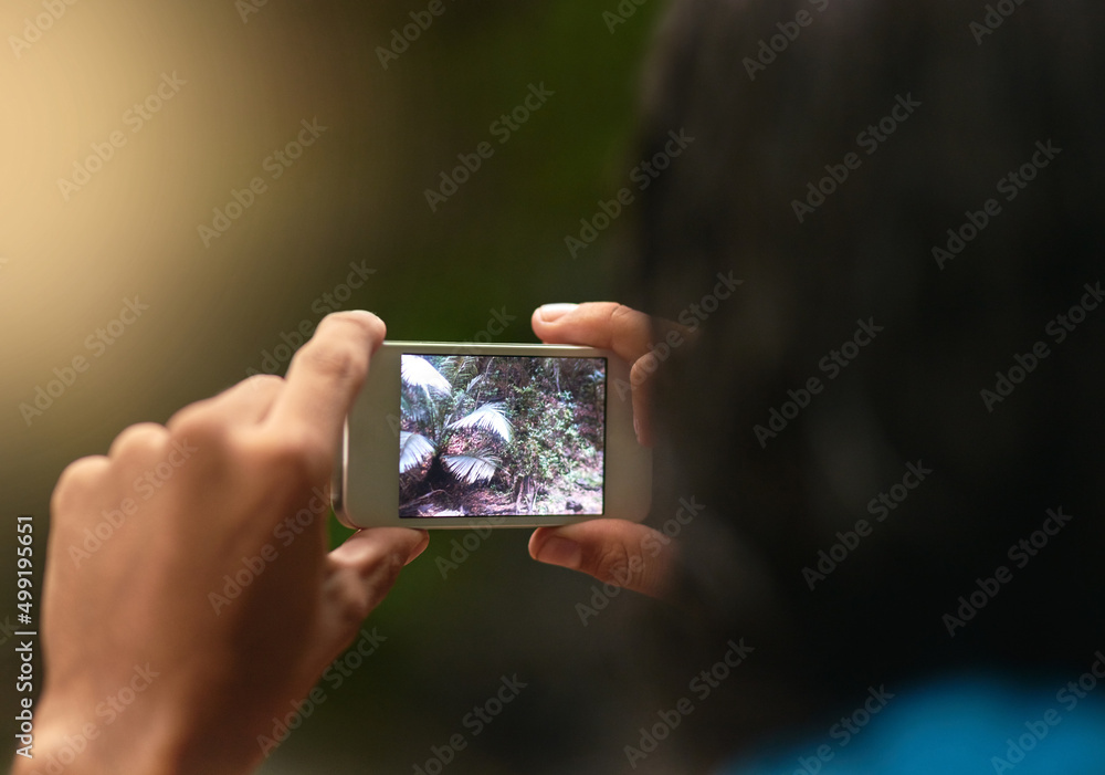 技术与自然相遇。一个身份不明的人用手机拍照的后视镜头