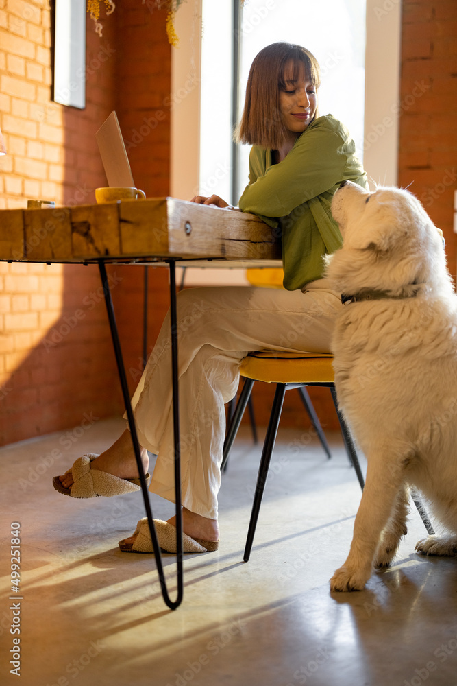 一个女人坐在木桌旁用笔记本电脑工作，在舒适的生活中照顾她可爱的狗