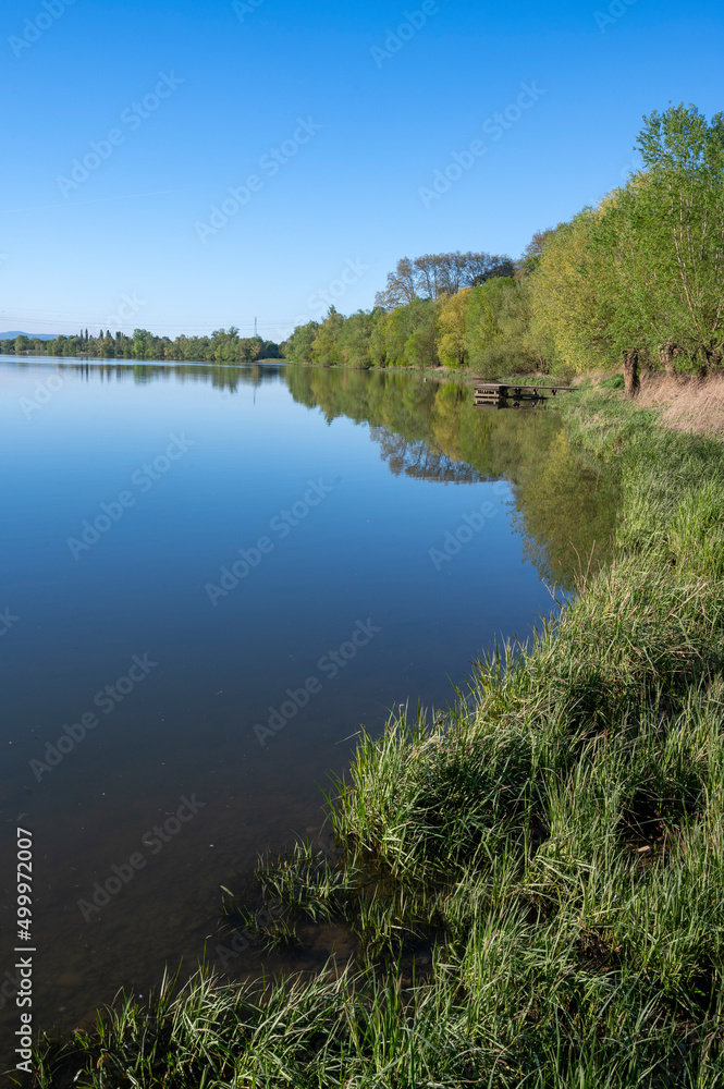 Rivage du fleuve Saône autour de Beauregard-sur-Saône dans le département de lAin au printemps
