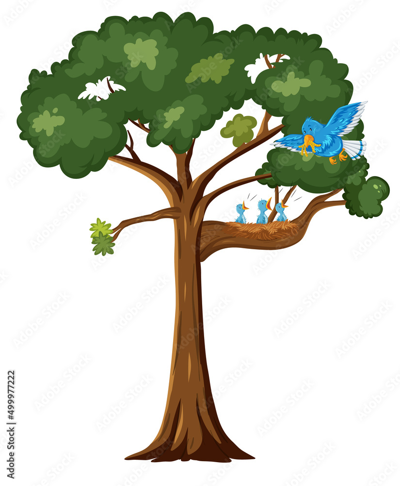 树上的蓝鸟和小鸡