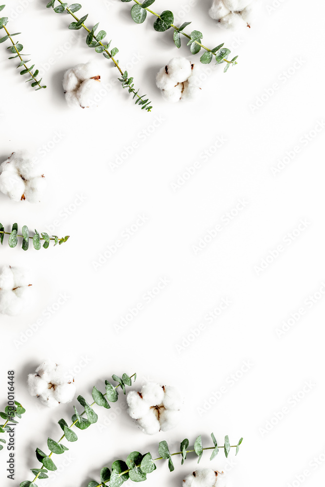 Flowers composition with fresh eucalyptus branches and cotton. Flat lay, top view, copy space