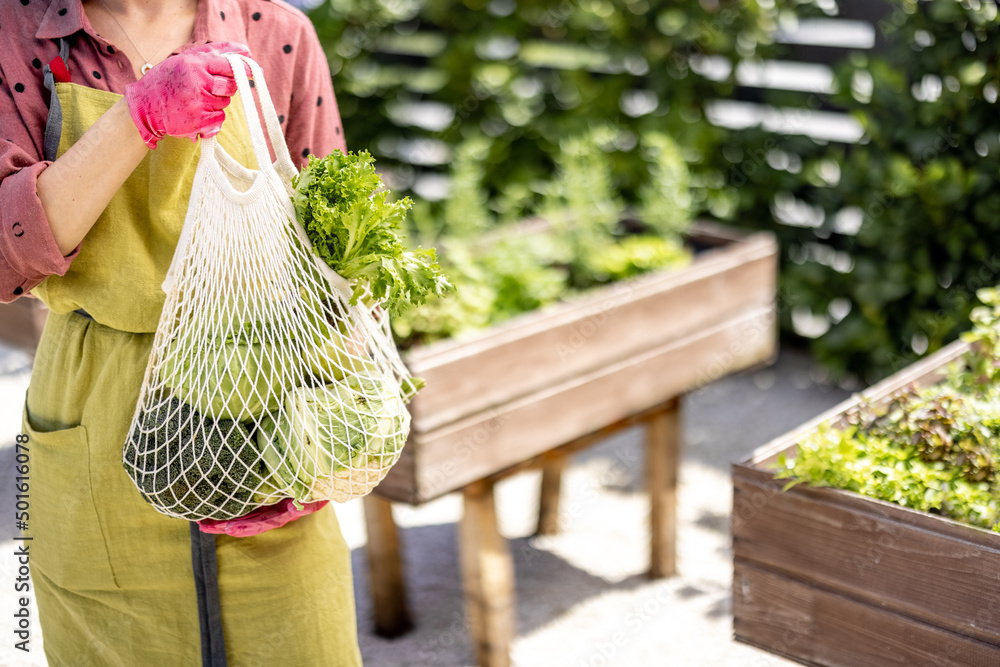 家里花园里的女人拿着装满新鲜蔬菜和绿色蔬菜的网袋，裁剪视图。概念