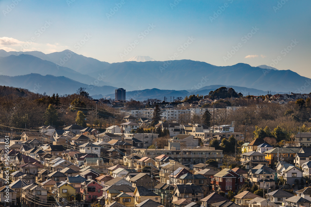 東京郊外から見る丹沢の山脈と住宅街