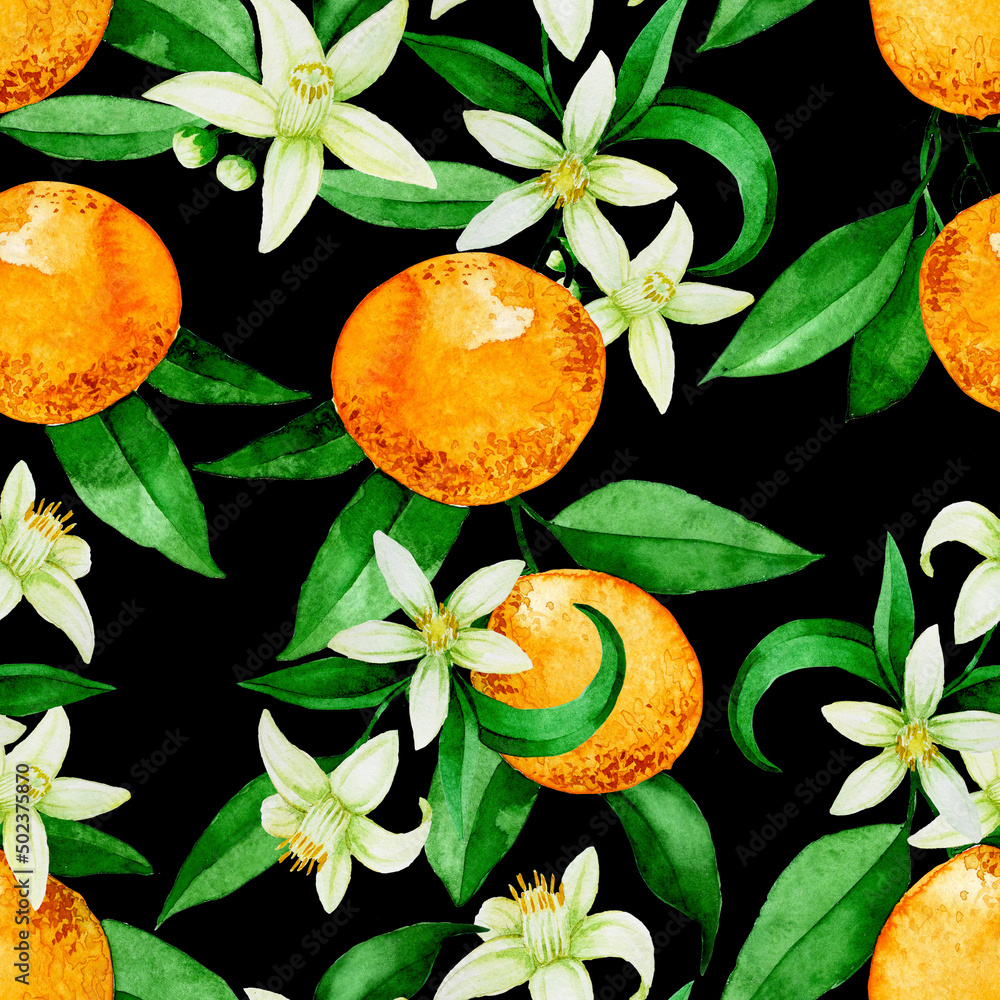 带有橙子的无缝水彩图案。橙色橙子，花和叶子在深色背景上。v