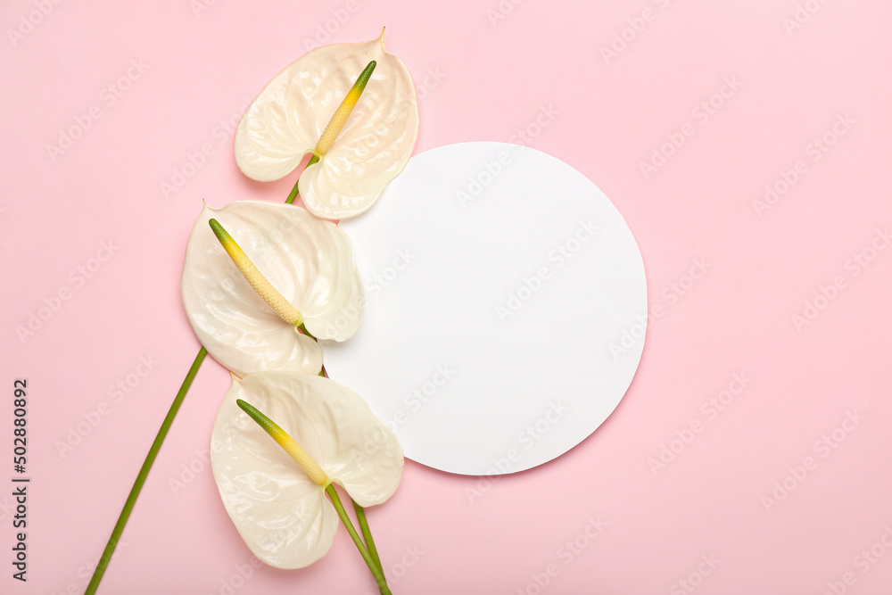 美丽的花托和粉红色背景上的空白卡片