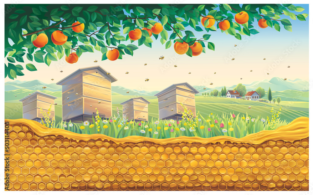 前景是蜜蜂蜂窝的养蜂场，背景是带有v的乡村景观