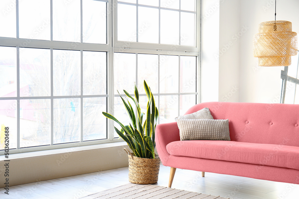 浅色客厅窗户附近的粉红色沙发和室内植物