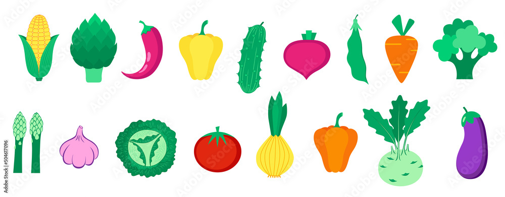 一套有机水果、蔬菜和浆果。