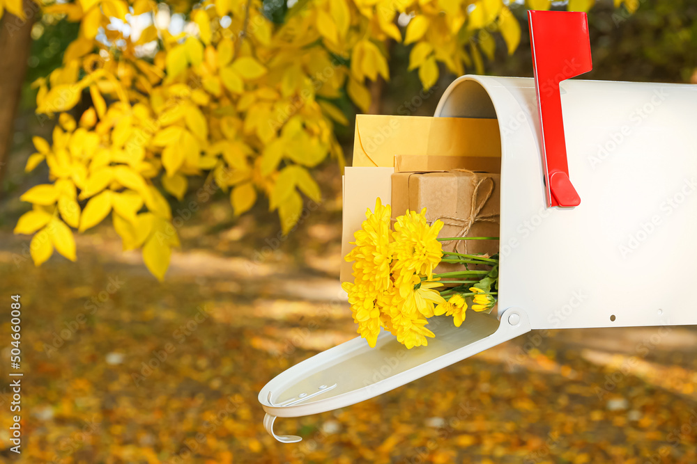 秋天公园里有漂亮的鲜花、礼物和信封的邮箱